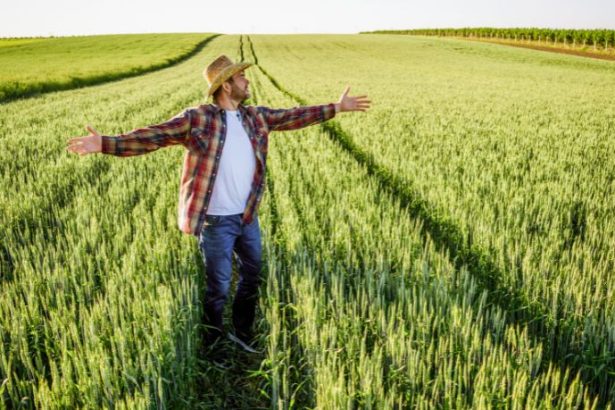 Carlos Eduardo Moraes Nunes