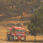 Bombeiros combatem incêndio florestal ao lado de uma viatura, com chamas visíveis entre a vegetação.
