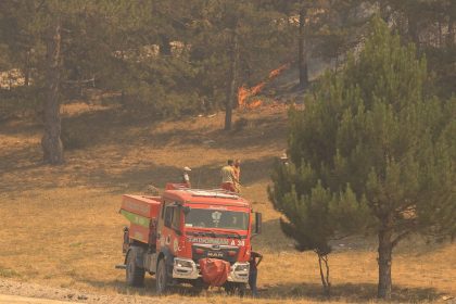 Bombeiros combatem incêndio florestal ao lado de uma viatura, com chamas visíveis entre a vegetação.