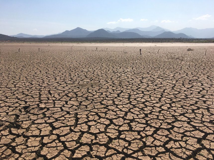 Paisagem extensa de solo profundamente rachado sob céu claro, caracterizando condições severas de seca.